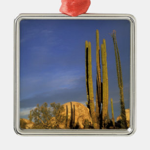 Mexiko, Baja del Norte, Catavina-Wüsten-National Ornament Aus Metall