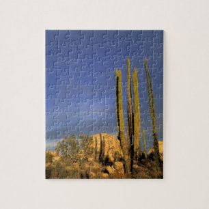 Mexiko, Baja del Norte, Catavina-Wüsten-National Puzzle