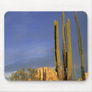 Mexiko, Baja del Norte, Catavina Wüsten-Nationalpa Mousepad