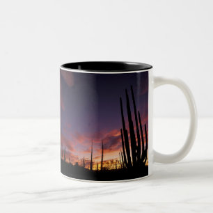 Mexiko, Baja del Norte, Catavina-Wüsten-Nationalpa Zweifarbige Tasse
