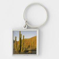 Mexiko, Baja, Santa Catalina Island, Meer
