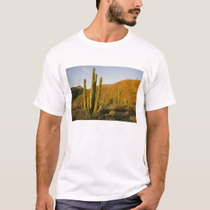 Mexiko, Baja, Santa Catalina Island, Meer von T-Shirt
