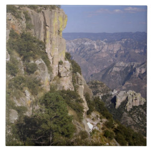 Mexiko, Bundesstaat Chihuahua, Copper Canyon. DIES Fliese