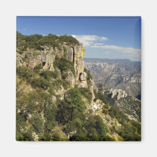 Mexiko, Bundesstaat Chihuahua, Copper Canyon. DIES Magnet