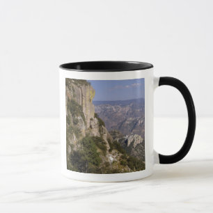 Mexiko, Bundesstaat Chihuahua, Copper Canyon. DIES Tasse