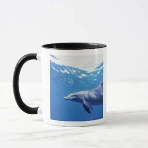 Mexiko, Cozumel. Großer Tümmler, Tursiops 3 Tasse