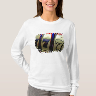Mexiko-Kreuzfahrt. Princess Cruises Dawn Princess T-Shirt