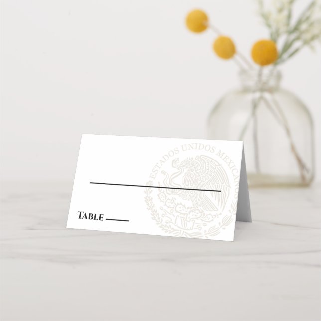 Mexiko-Passport-Platzkarte Platzkarte (Vorderseite)