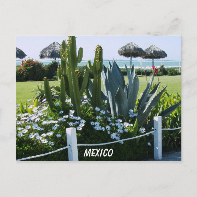 MEXIKO POSTKARTE (Vorderseite)