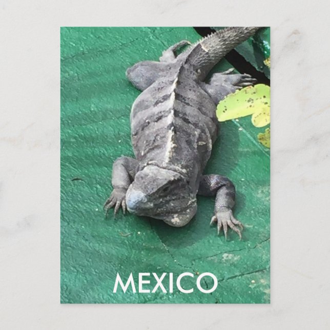 Mexiko-Postkarte Postkarte