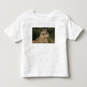 Mexiko, Provinz Chiapas, Palenque, Tempel von Kleinkind T-shirt