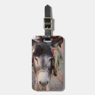 Mexiko, San Miguel De Allende 2 Gepäckanhänger