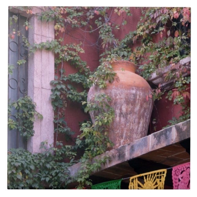 Mexiko, San Miguel de Allende, Ivy, Tontopf, Fliese (Vorderseite)