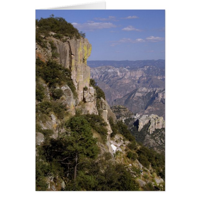 Mexiko, Staat von Chihuahua, Kupfer Canyon. DIESE (Vorne)