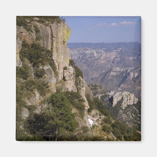 Mexiko, Staat von Chihuahua, Kupfer Canyon. DIESE Magnet (Vorne)
