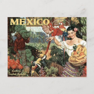 Mexiko Vintage-Reisepostkarte Postkarte