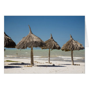 Mexiko, Yucatan-Halbinsel, Progreso. Strohdach