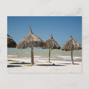 Mexiko, Yucatan-Halbinsel, Progreso. Strohdach Postkarte