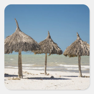 Mexiko, Yucatan Halbinsel, Progreso. Thatch Quadratischer Aufkleber