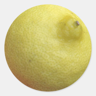 Meyer-Zitrone Runder Aufkleber