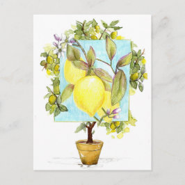 Meyer-Zitronenbaum Zitrusfrucht Garten Postkarte