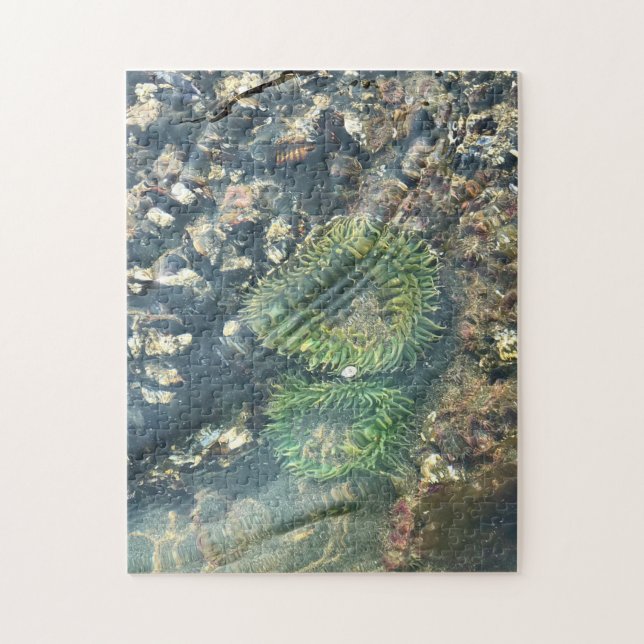 Meyers Beach North, Gold Beach, Oregon Puzzle (Vertikal)