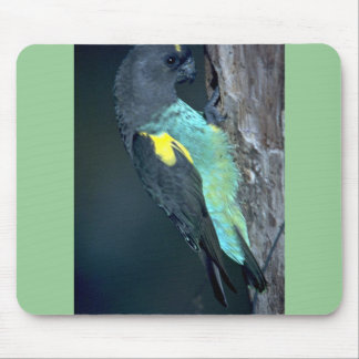 Meyers Papagei Mousepad