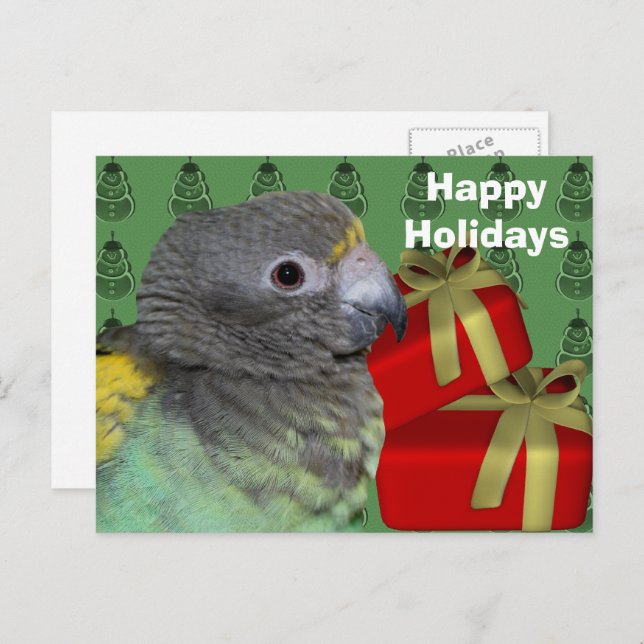 Meyers Parrot Christmas Holiday Postcard Feiertagspostkarte (Vorne/Hinten)