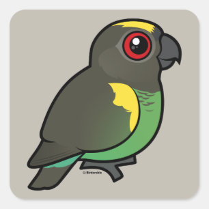 Meyer's Parrot Quadratischer Aufkleber
