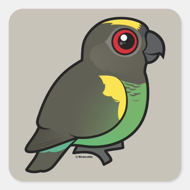 Meyer's Parrot Quadratischer Aufkleber (Vorderseite)