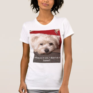 _MG_3718, was auch immer es war, tat ich es nicht T-Shirt