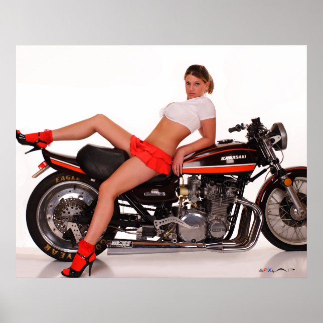 _MG_7804a Cassie & The Z1 Poster (Vorne)