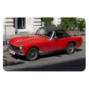 MG MAGNET