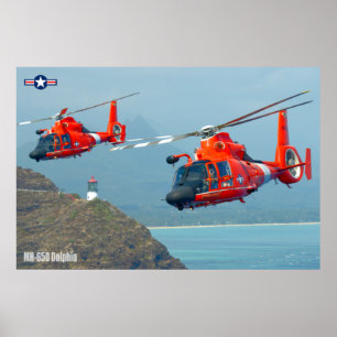MH-65D DELPHIN POSTER
