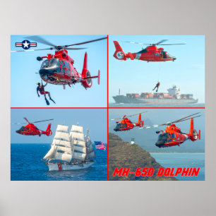 MH-65D-DOLPHIN POSTER