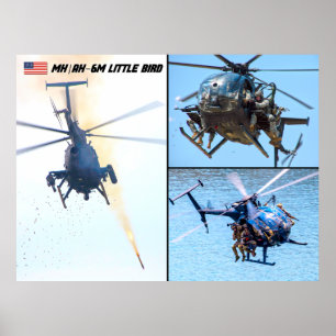 MH/AH-6 MILLIONEN BIRD POSTER