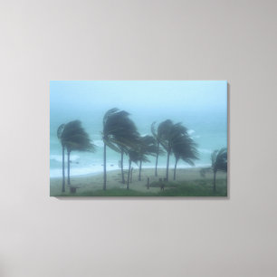 Miami Beach, Florida, Hurrikanwinde peitschen Leinwanddruck