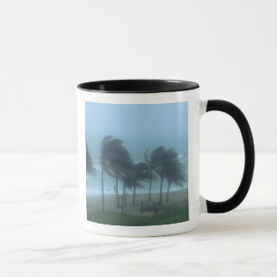 Miami Beach, Florida, Hurrikanwinde peitschen Tasse