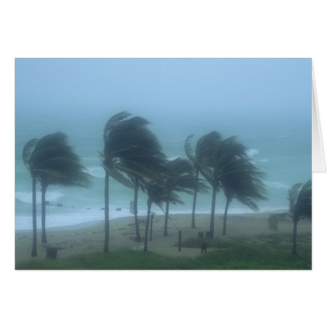 Miami Beach, Florida, Wirbelstürme (Vorderseite (Horizontal))