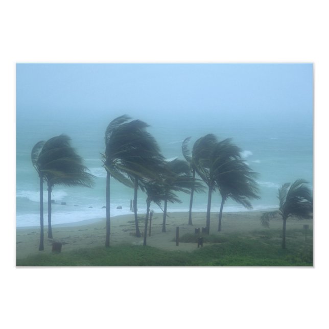Miami Beach, Florida, Wirbelstürme Fotodruck (Vorne)