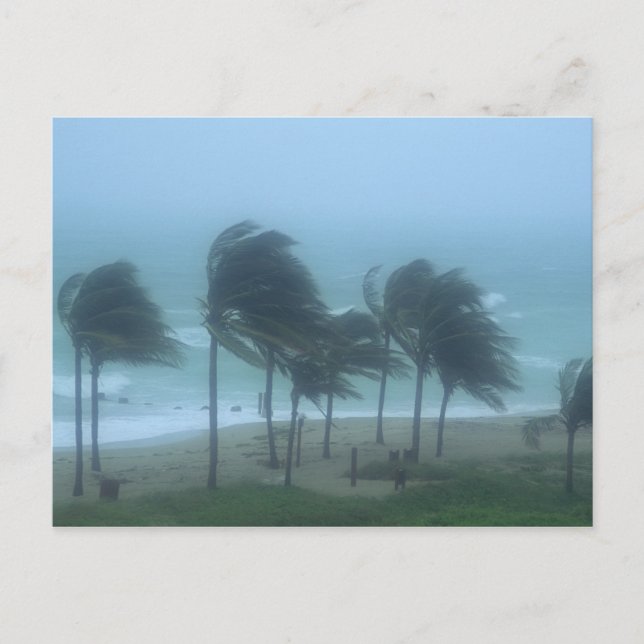 Miami Beach, Florida, Wirbelstürme Postkarte (Vorderseite)
