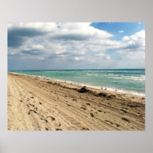 Miami Beach Poster
