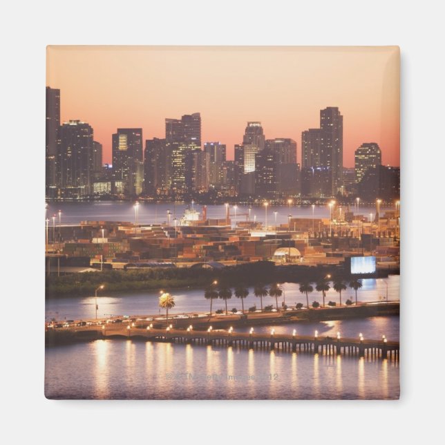 Miami Cityscape Magnet (Vorne)