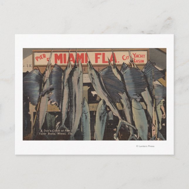 Miami, FL - Ansicht Pier 5 City Yacht Club w/ Postkarte (Vorderseite)