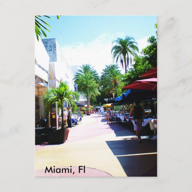 Miami, Fl Postkarte (Vorderseite)