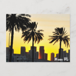 Miami FL Postkarte