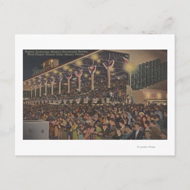 Miami, FL - West Flagler Kennel Club, Hund Postkarte (Vorderseite)