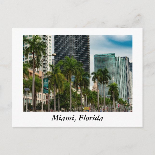 Miami Florida Postkarte (Vorderseite)