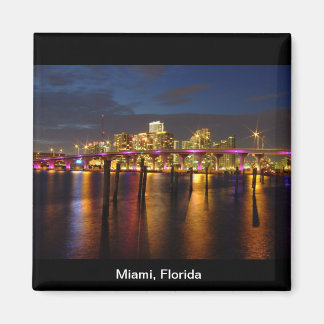 Miami Florida Skyline bei Night Magnet