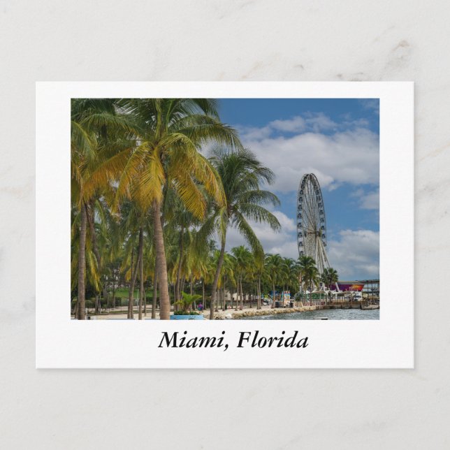 Miami Florida und Biscayne Bay Postkarte (Vorderseite)